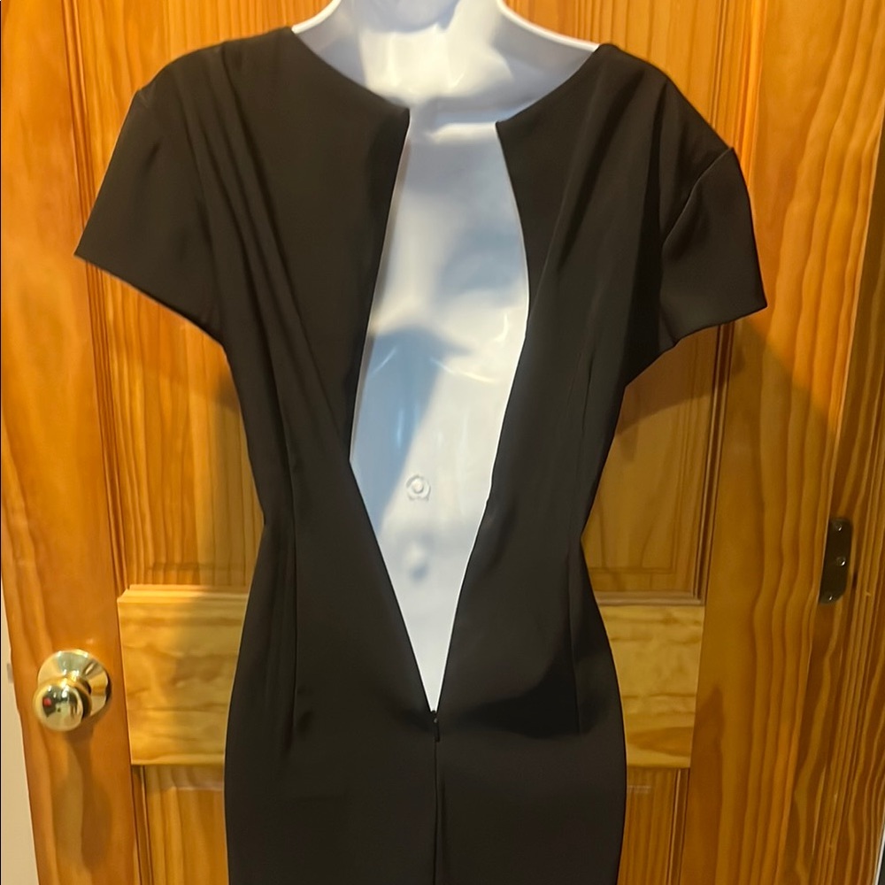 Collection Dressbarn Black & Tan Lace Front Dress - Picture 5 of 7
